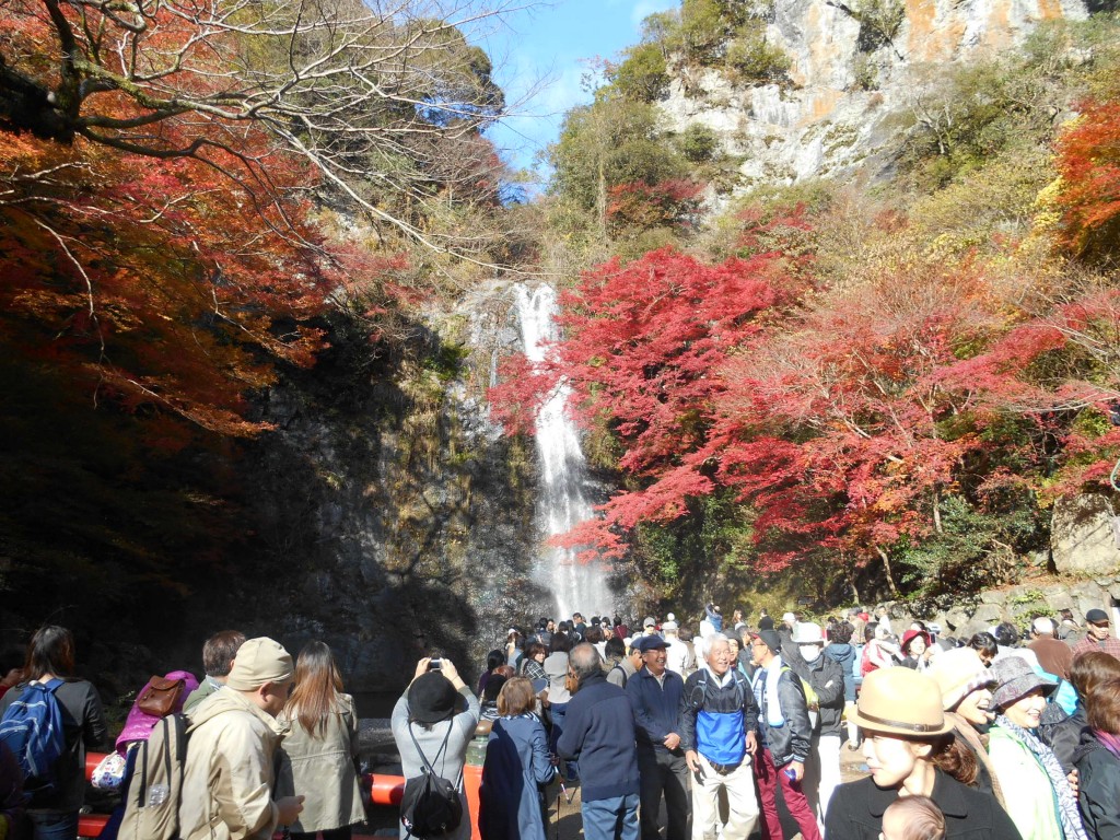 Top-kouho-2